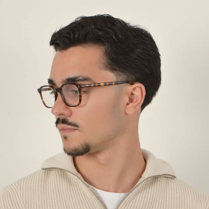 Toulon Tortoise · Clear "bom"