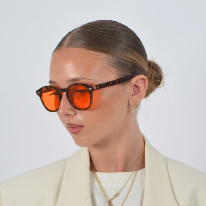 Saint-Tropez Tortoise · Amber